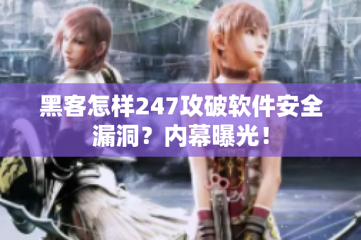 黑客怎样247攻破软件安全漏洞？内幕曝光！
