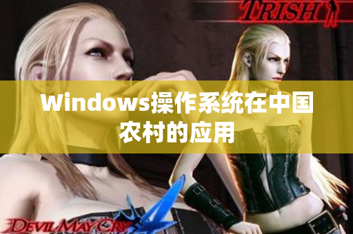 Windows操作系统在中国农村的应用