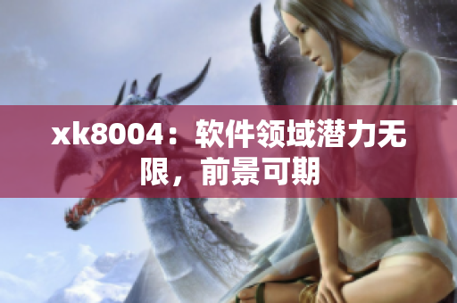 xk8004：软件领域潜力无限，前景可期