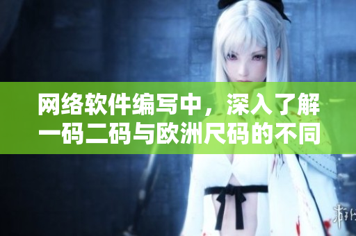网络软件编写中，深入了解一码二码与欧洲尺码的不同