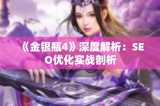 《金银瓶4》深度解析：SEO优化实战剖析