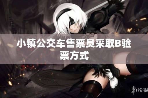 小镇公交车售票员采取B验票方式