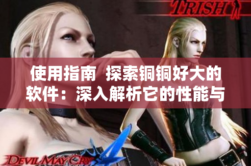 使用指南  探索铜铜好大的软件：深入解析它的性能与功能
