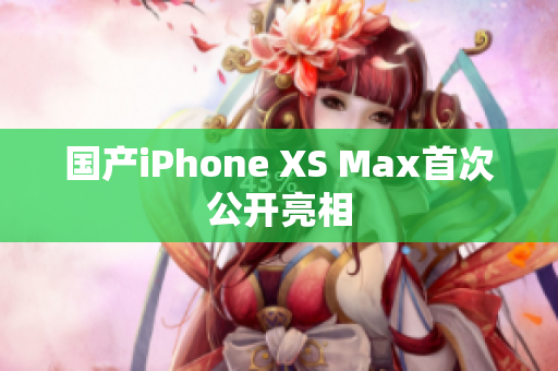 国产iPhone XS Max首次公开亮相