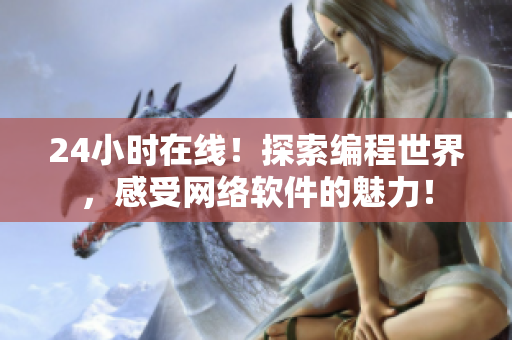24小时在线！探索编程世界，感受网络软件的魅力！