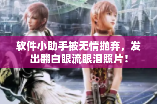 软件小助手被无情抛弃，发出翻白眼流眼泪照片！