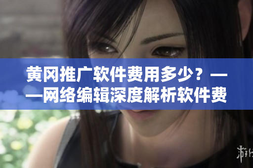 黄冈推广软件费用多少？——网络编辑深度解析软件费用