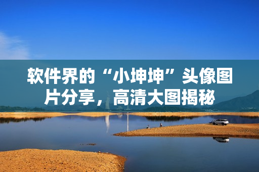 软件界的“小坤坤”头像图片分享，高清大图揭秘