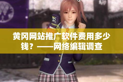黄冈网站推广软件费用多少钱？——网络编辑调查