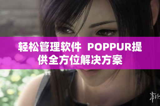 轻松管理软件  POPPUR提供全方位解决方案