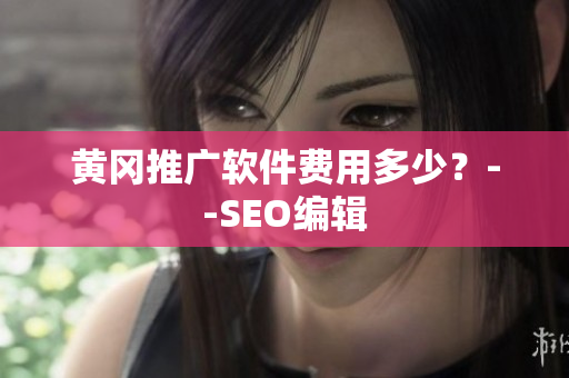 黄冈推广软件费用多少？--SEO编辑