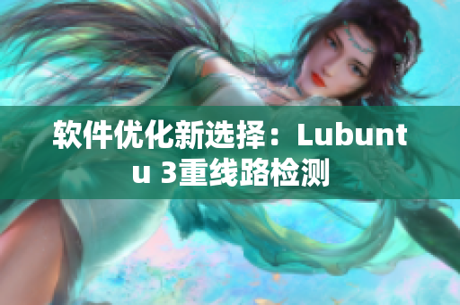 软件优化新选择：Lubuntu 3重线路检测
