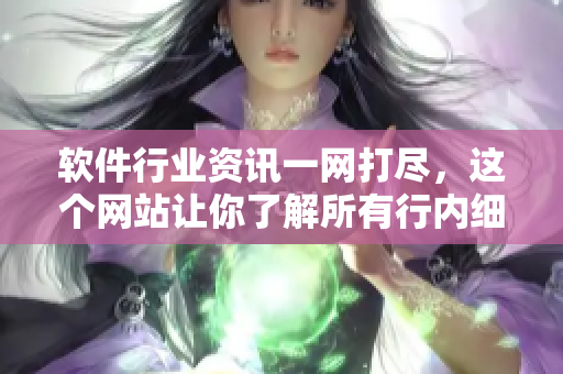 软件行业资讯一网打尽，这个网站让你了解所有行内细节