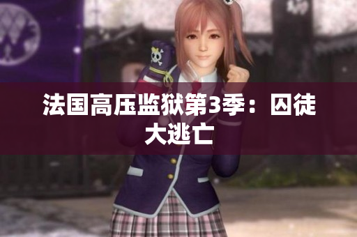 法国高压监狱第3季：囚徒大逃亡