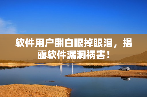 软件用户翻白眼掉眼泪，揭露软件漏洞祸害！