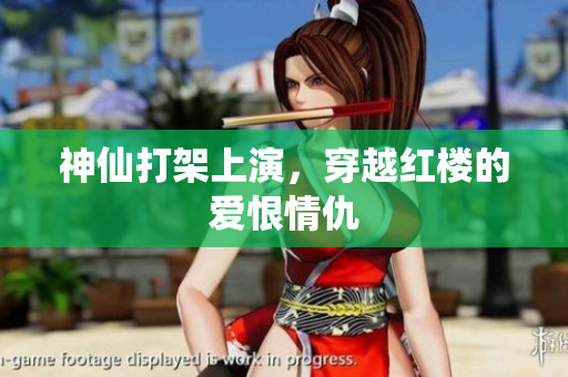 神仙打架上演，穿越红楼的爱恨情仇