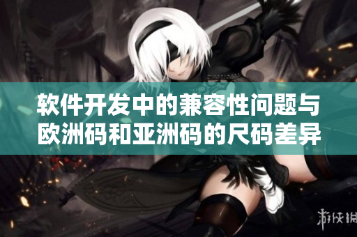 软件开发中的兼容性问题与欧洲码和亚洲码的尺码差异原因分析