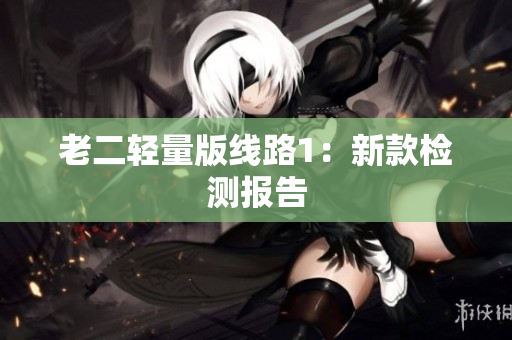 老二轻量版线路1：新款检测报告