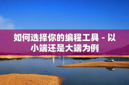 如何选择你的编程工具 - 以小端还是大端为例