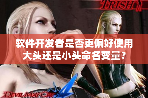 软件开发者是否更偏好使用大头还是小头命名变量？