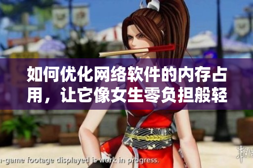如何优化网络软件的内存占用，让它像女生零负担般轻盈？