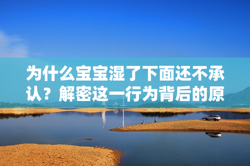为什么宝宝湿了下面还不承认？解密这一行为背后的原因