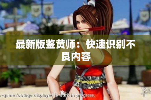 最新版鉴黄师：快速识别不良内容