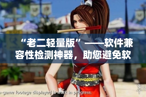 “老二轻量版”——软件兼容性检测神器，助您避免软件兼容性问题！