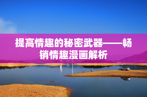 提高情趣的秘密武器——畅销情趣漫画解析