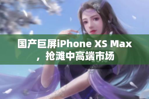 国产巨屏iPhone XS Max，抢滩中高端市场