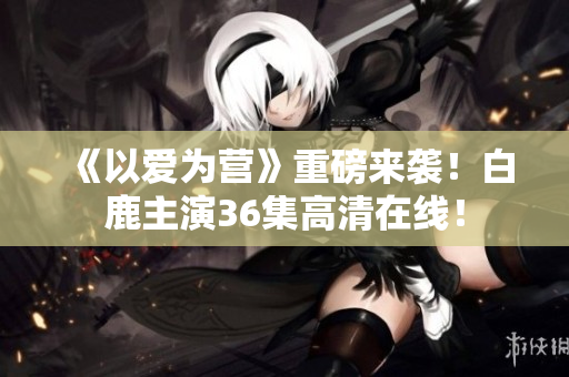 《以爱为营》重磅来袭！白鹿主演36集高清在线！