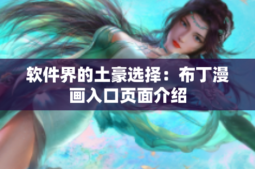 软件界的土豪选择：布丁漫画入口页面介绍