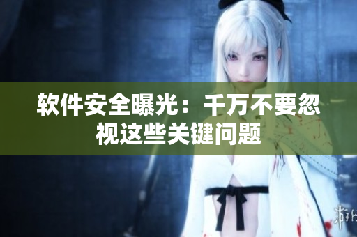 软件安全曝光：千万不要忽视这些关键问题