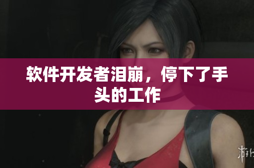 软件开发者泪崩，停下了手头的工作