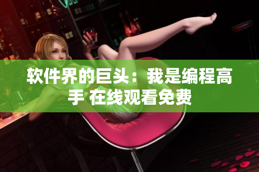 软件界的巨头：我是编程高手 在线观看免费