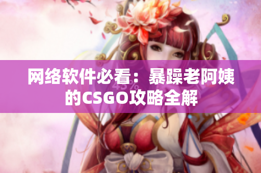 网络软件必看：暴躁老阿姨的CSGO攻略全解