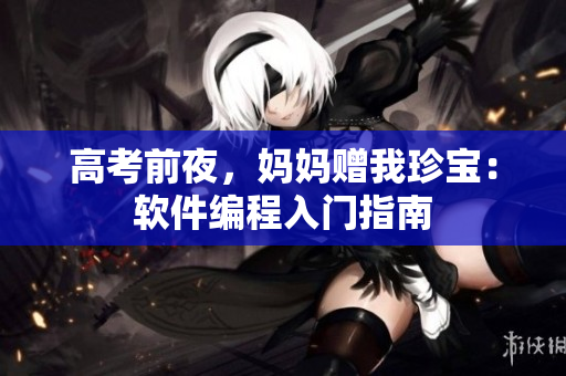 高考前夜，妈妈赠我珍宝：软件编程入门指南