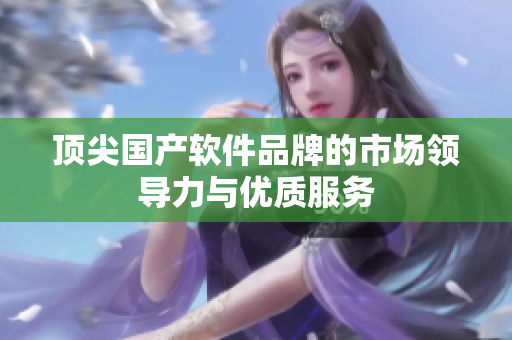 顶尖国产软件品牌的市场领导力与优质服务