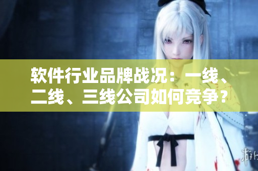 软件行业品牌战况：一线、二线、三线公司如何竞争？