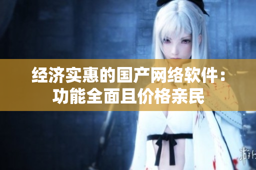 经济实惠的国产网络软件：功能全面且价格亲民