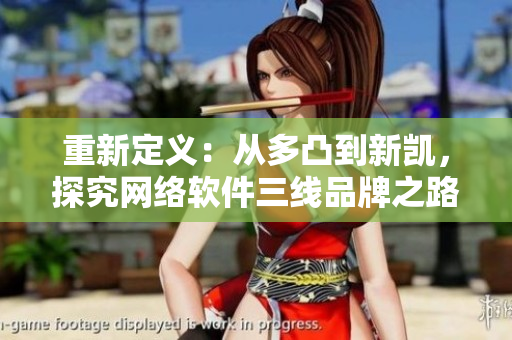 重新定义：从多凸到新凯，探究网络软件三线品牌之路。