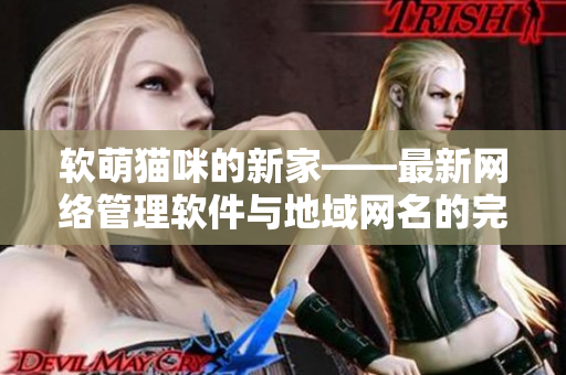 软萌猫咪的新家——最新网络管理软件与地域网名的完美结合
