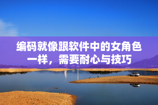编码就像跟软件中的女角色一样，需要耐心与技巧