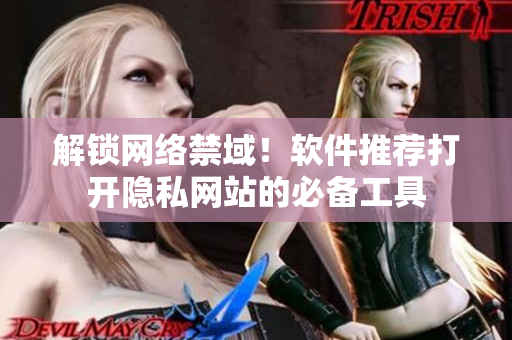 解锁网络禁域！软件推荐打开隐私网站的必备工具