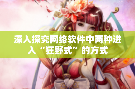 深入探究网络软件中两种进入“狂野式”的方式