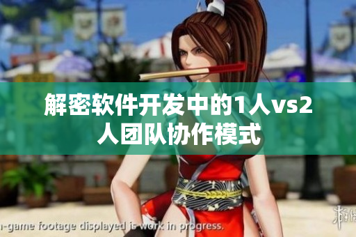 解密软件开发中的1人vs2人团队协作模式