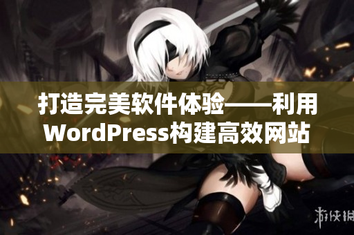 打造完美软件体验——利用WordPress构建高效网站