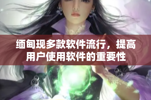 缅甸现多款软件流行，提高用户使用软件的重要性