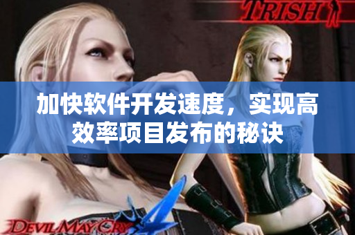 加快软件开发速度，实现高效率项目发布的秘诀