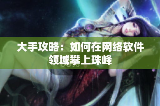 大手攻略：如何在网络软件领域攀上珠峰
